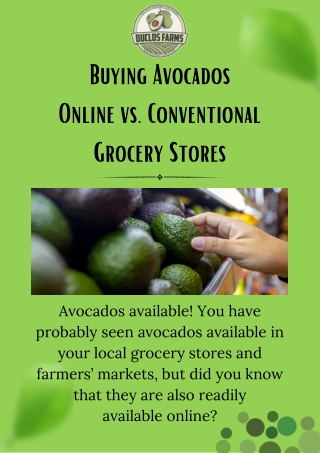 Comparing Online Avocado Shopping to Traditional Grocery Stores