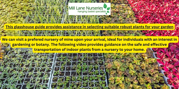 this glasshouse guide provides assistance