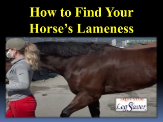 How to Find Your Horse’s Lameness
