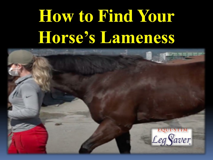 how to find your horse s lameness