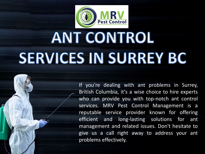 ant control services in surrey bc