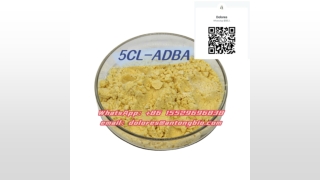 Chinese Professional Supplier 5cl Safe service refinement 5cl latest product