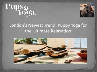 London's Newest Trend Puppy Yoga for the Ultimate Relaxation