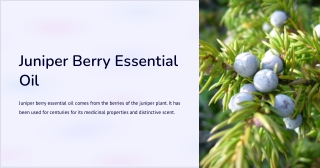 Juniper Berry Essential Oil