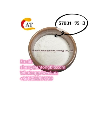Chinese Professional Supplier CAS 57801-95-3 flubrotizolam