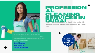 Normal Cleaning Services In Dubai