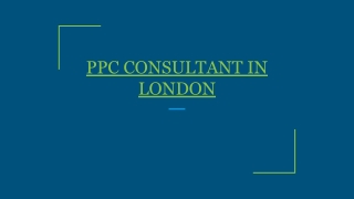 PPC CONSULTANT IN LONDON