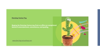 Dancing Cactus Toy