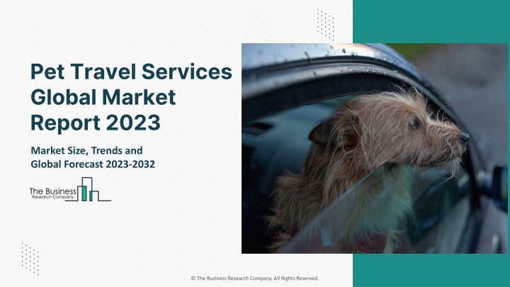 pet travel services global market report 2023