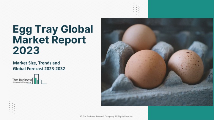 egg tray global market report 2023