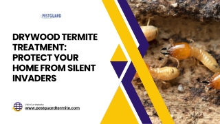 Drywood Termite Treatment Protect Your Home from Silent Invaders