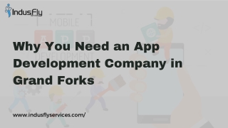why you need an app development company in grand