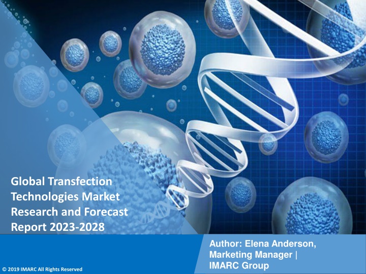 global transfection technologies market research