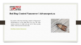 bed bug control vancouver advancepest ca