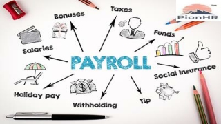 Choose the Best Online Payroll Software for Efficient Payroll Processing