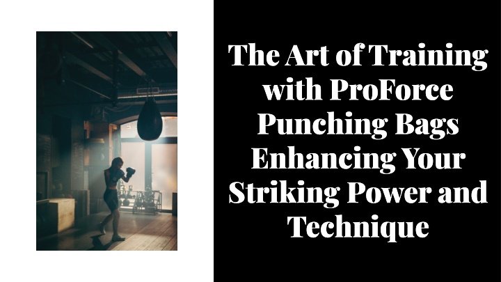 the art of training with proforce punching bags