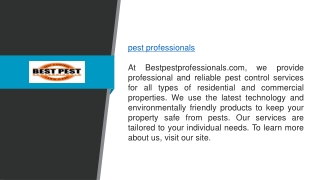 Pest Professionals Bestpestprofessionals.com