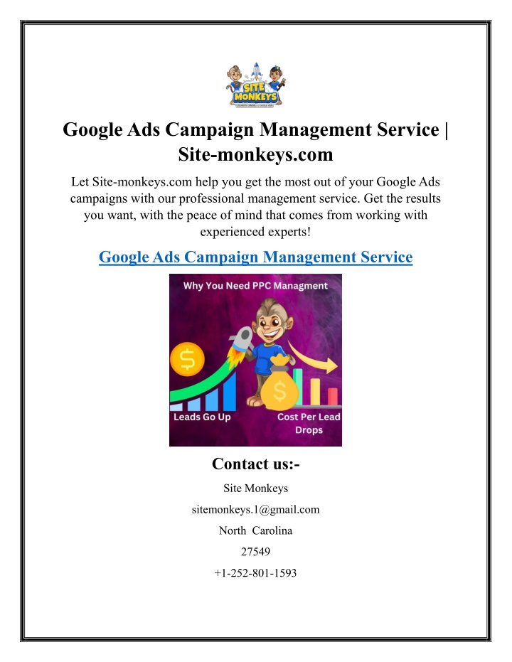 google ads campaign management service site
