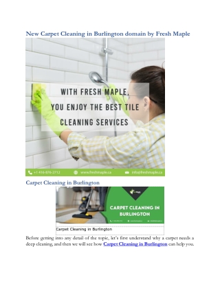New Carpet Cleaning in Burlington domain by Fresh Maple