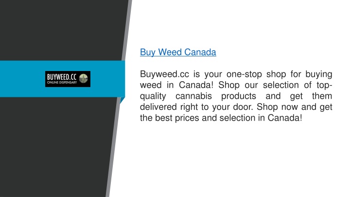 buy weed canada buyweed cc is your one stop shop