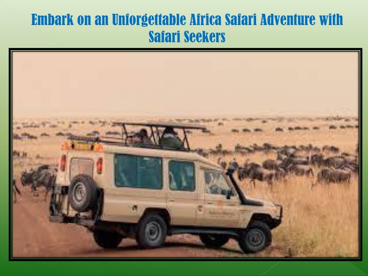 embark on an unforgettable africa safari