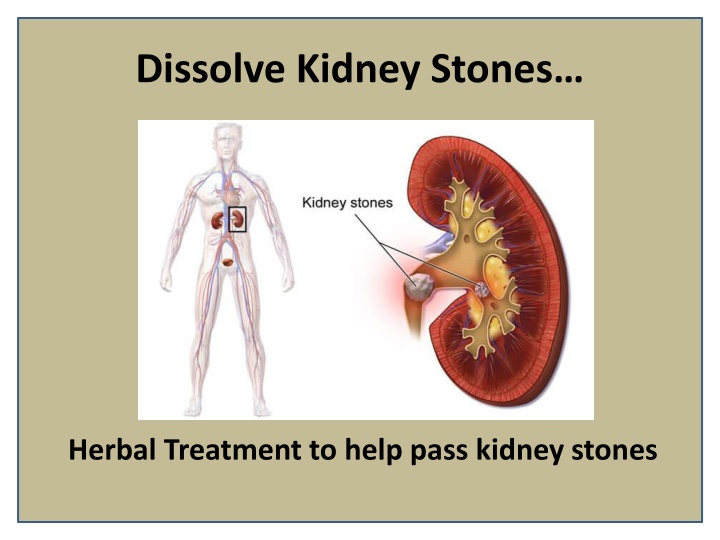 dissolve kidney stones