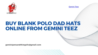 Buy Blank Polo Dad Hats Online from Gemini Teez