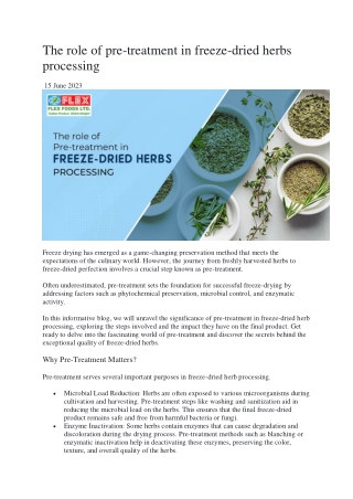 The role of pre-treatment in freeze-dried herbs processing