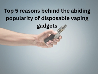 Top 5 reasons behind the abiding popularity of disposable vaping gadgets