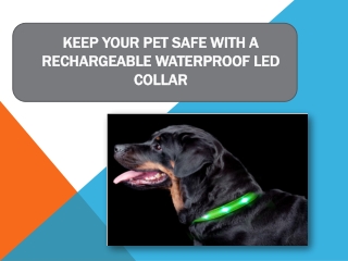 Keep your pet safe with a rechargeable waterproof LED collar