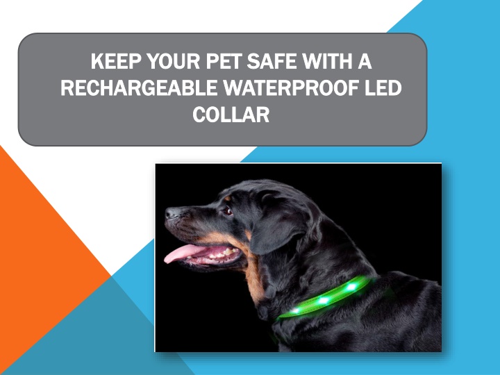 keep your p et s afe w ith a r echargeable w aterproof led collar