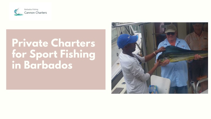 private charters for sport fishing in barbados