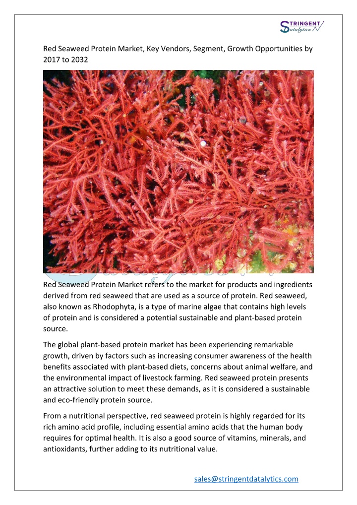 red seaweed protein market key vendors segment