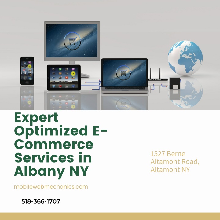 expert optimized e commerce services in albany