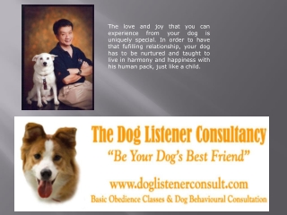 Personal Dog Trainers in Singapore