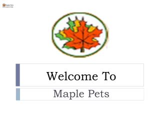 Maple Pets International Pvt Ltd | Fluval Canister Aquarium