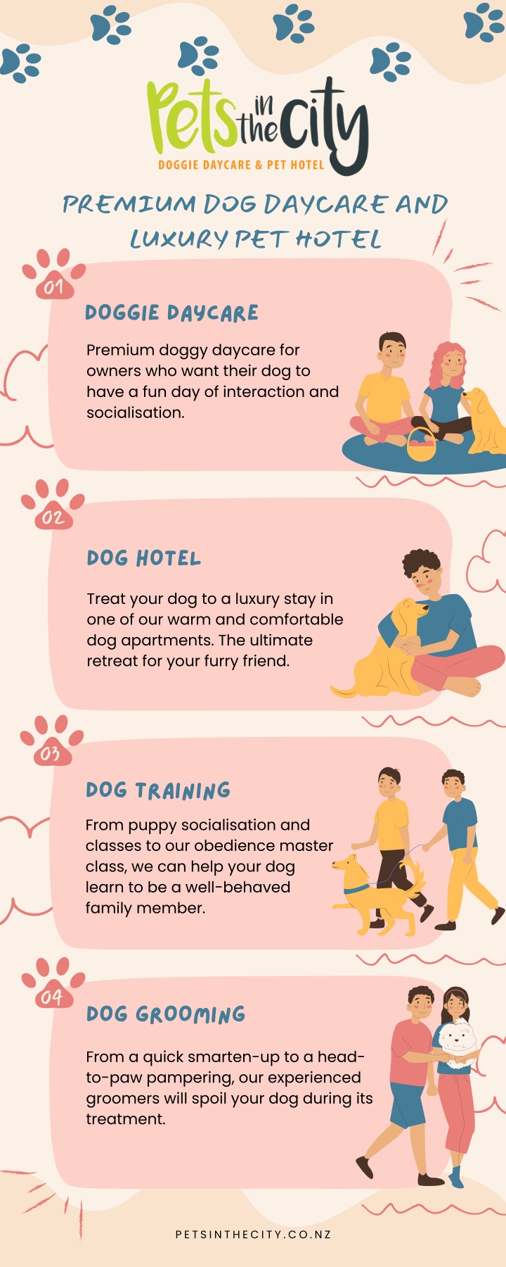 premium dog daycare and luxury pet hotel