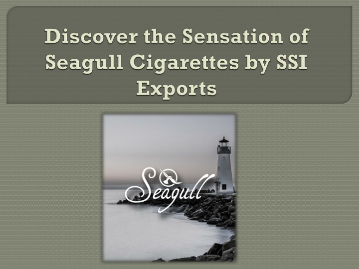 discover the sensation of seagull cigarettes by ssi exports