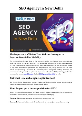 SEO Agency in New Delhi