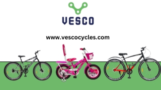 Buy Cycle for 12 Years | Vesco Cycles