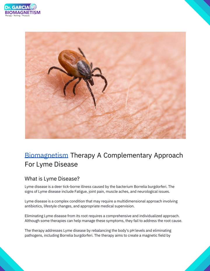 biomagnetism therapy a complementary approach
