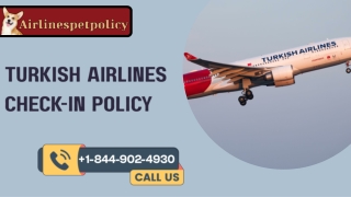 turkish airlines check in policy