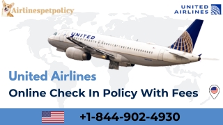 United Airlines Online Check In Policy With Fees