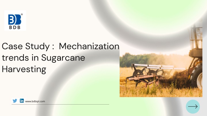 case study mechanization trends in sugarcane