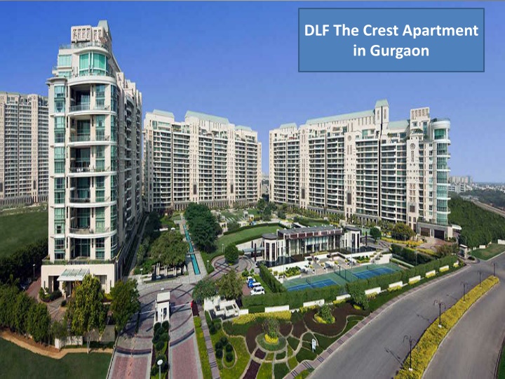 dlf the crest apartment in gurgaon