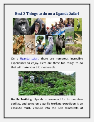 Best 3 Things to do on a Uganda Safari
