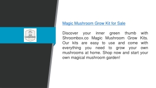 Magic Mushroom Grow Kit For Sale Shroombox.co