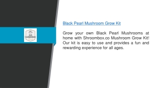 Black Pearl Mushroom Grow Kit Shroombox.co