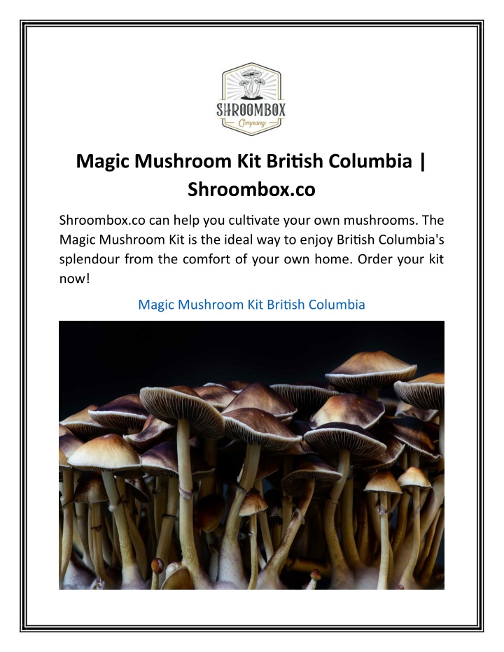 magic mushroom kit british columbia shroombox co