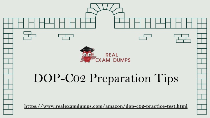 dop c02 preparation tips